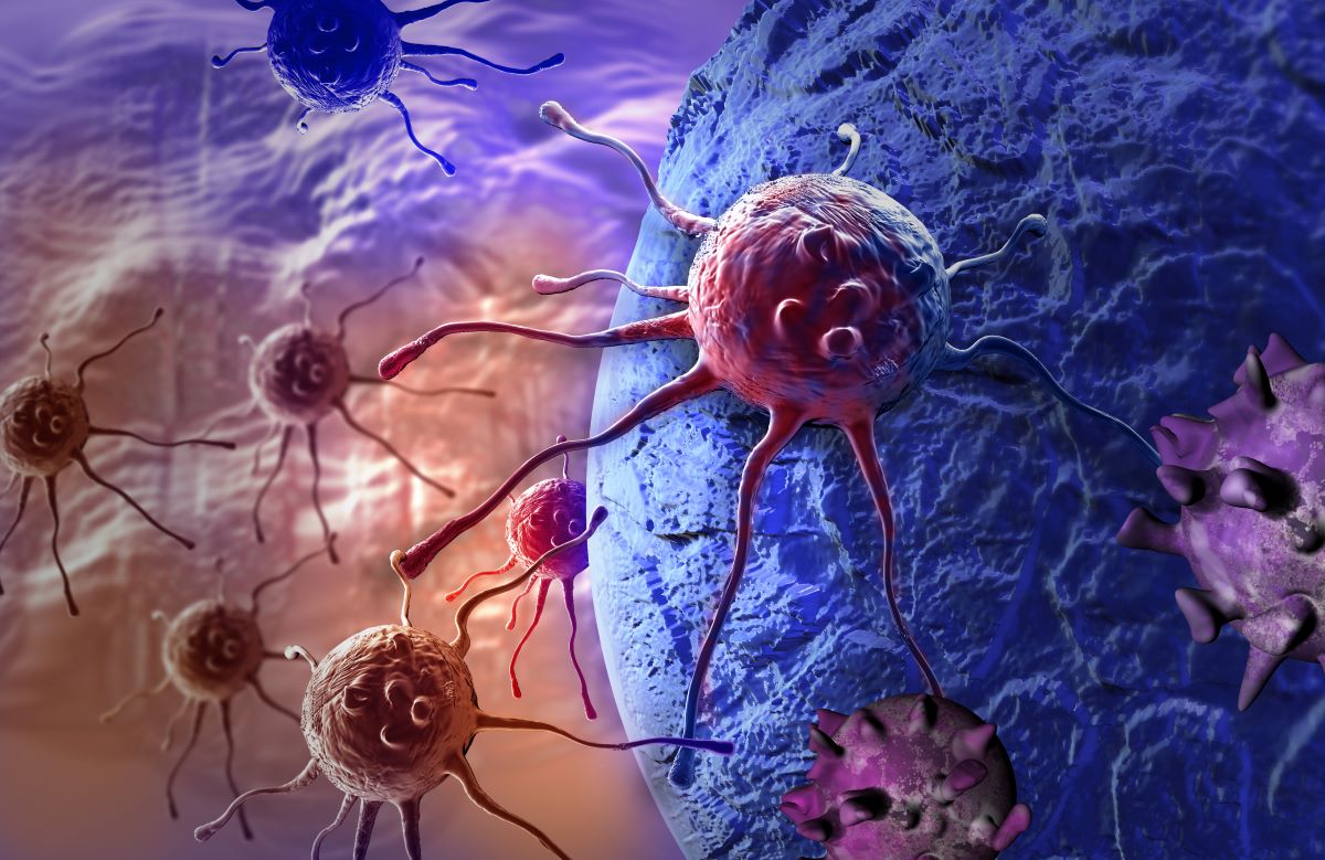 A Cancer Cell - is there a link between NMN supplementation and Cancer