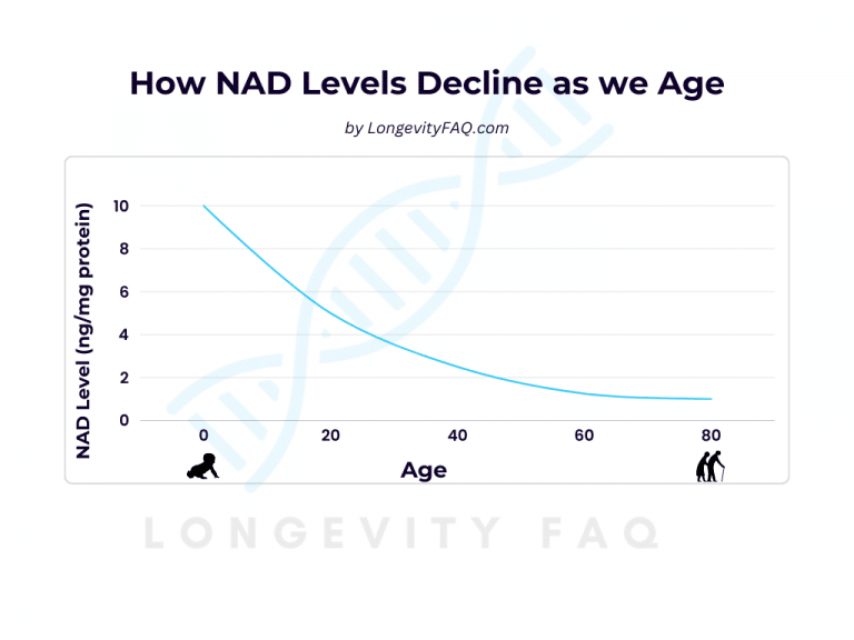 How Much Nad Should I Take How Much NMN Should I Take? A Guide to Finding Your Optimal NMN Dosage