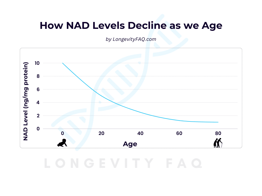 a line graph showing how NAD levels decline as we age by LongevityFAQ.com